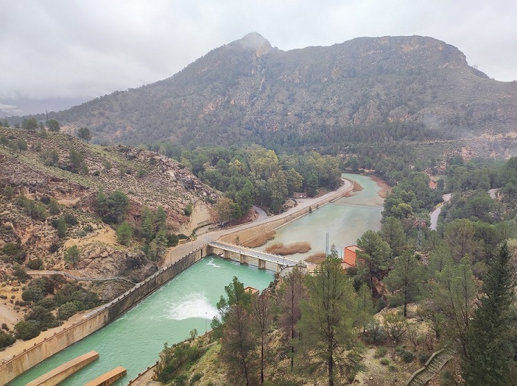 Varias Organizaciones rechazan la autorización de CHS para el uso de glifosato a orillas de los embalses de Fuensanta, Camarillas y Cenajo