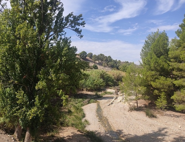 Denuncian extracciones «ilegales» de agua en una finca de Archivel, Caravaca. Preparan y ceden terrenos a grandes empresas agroindustriales