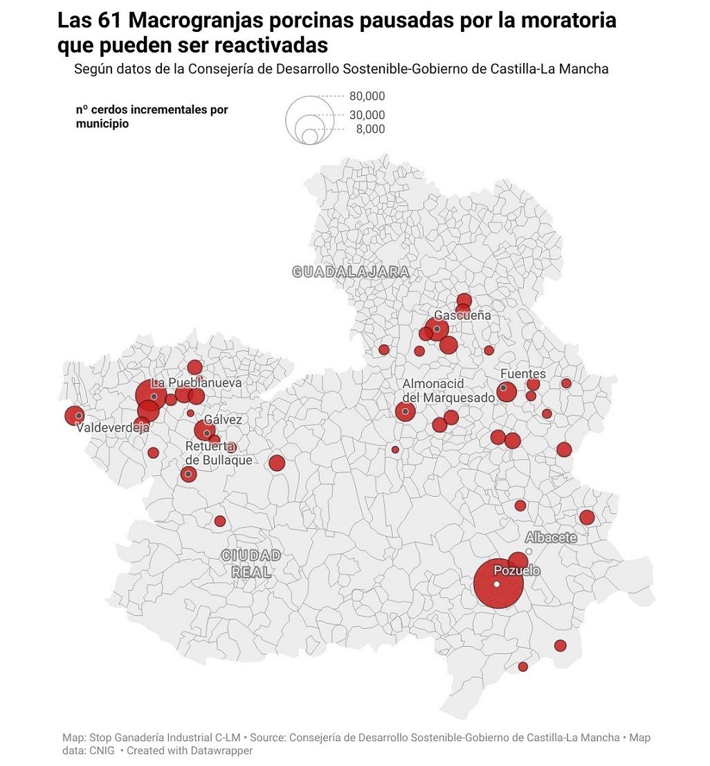 En Castilla-La Mancha, 61 macrogranjas que estaban pausadas por la moratoria, pueden ser reactivadas y  supondrían 362 mil cerdos más