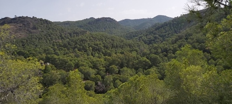 Reprochan al Consejero de Medio Ambiente faltar a la verdad sobre la Protección del Parque Regional de El Valle y Carrascoy