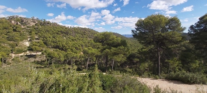 Denuncian ante Fiscalía una posible prevaricación por desproteger Sierra Espuña
