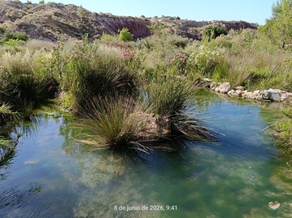 río chicamo