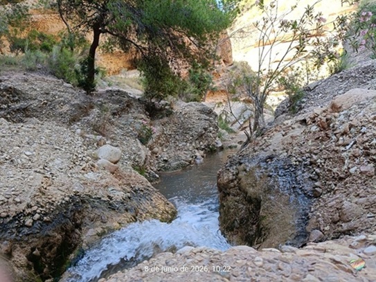 El Chícamo, un oasis que resiste entre la aridez… y la amenaza silenciosa de los nitratos