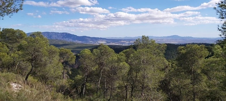 El Tribunal Constitucional revisará la Ley que recorta el Parque Regional de Sierra Espuña
