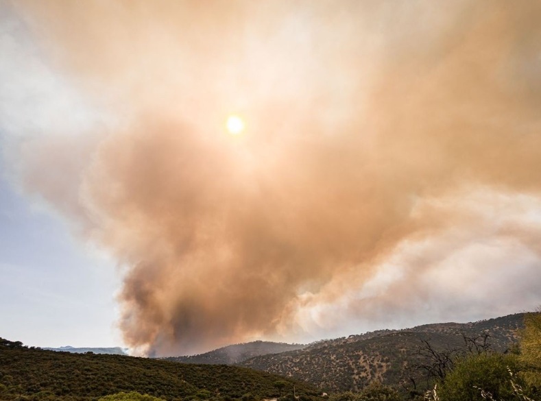 La Plataforma Ecologista Madrileña publica una carta abierta reclamando actuar contra las causas humanas que originan la mayoría de los incendios