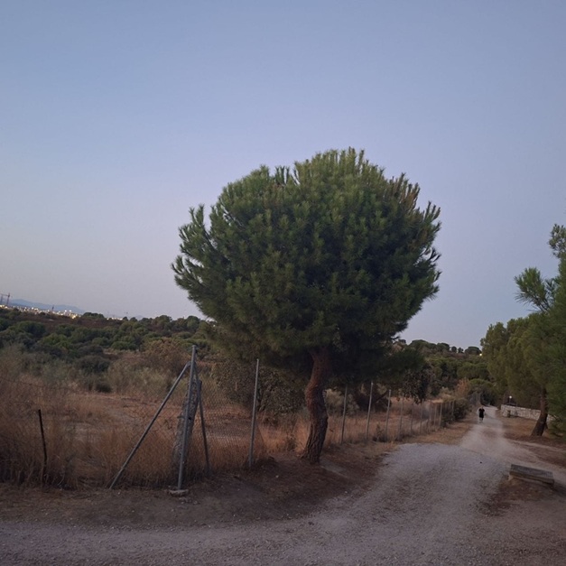 Ecologistas en Acción de Boadilla del Monte se suma a la protesta vecinal contra el proyecto de iluminación de sendas en espacios naturales